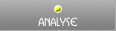 Analyse